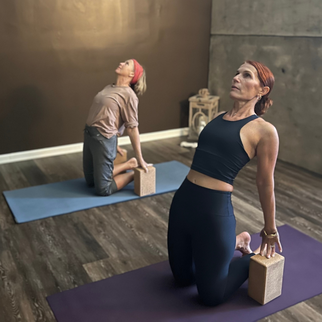 Vinyasa Yoga at Monmouth Beach Yoga & Wellness